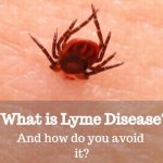 What is Lyme disease
